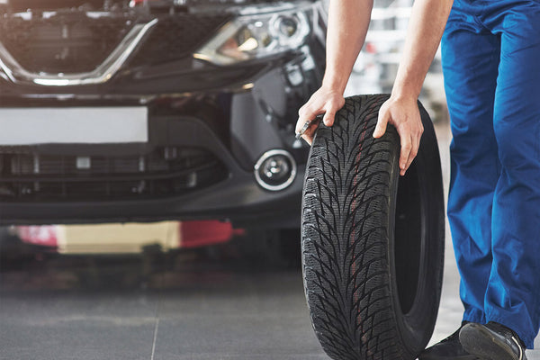 Spirit of Adventure Rises